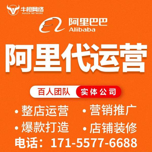 庄河电商代运营