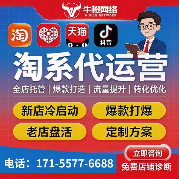 庄河电商代运营