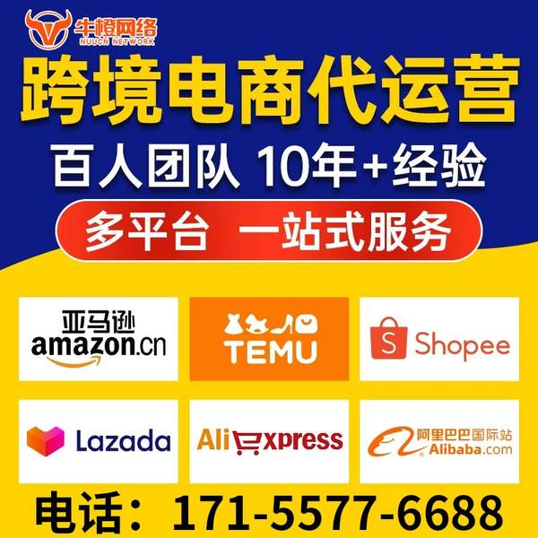 庄河电商代运营