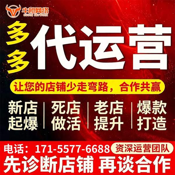 庄河电商代运营