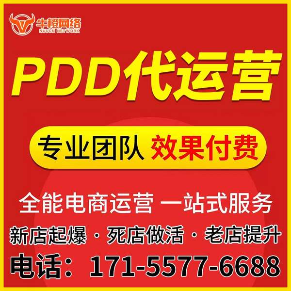 庄河电商代运营