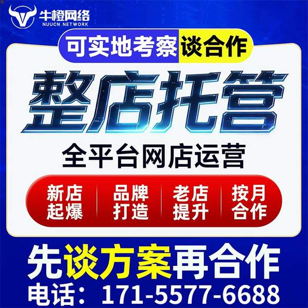 庄河电商代运营