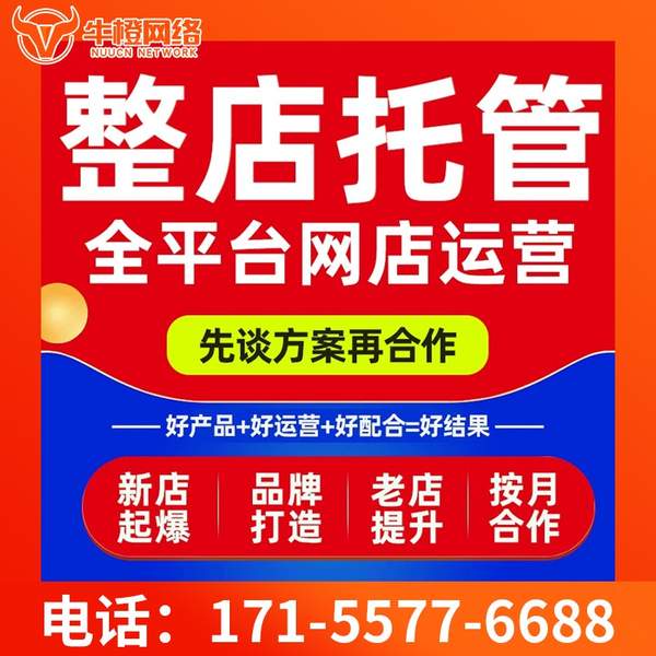 庄河电商代运营