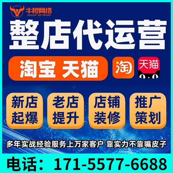 庄河电商代运营