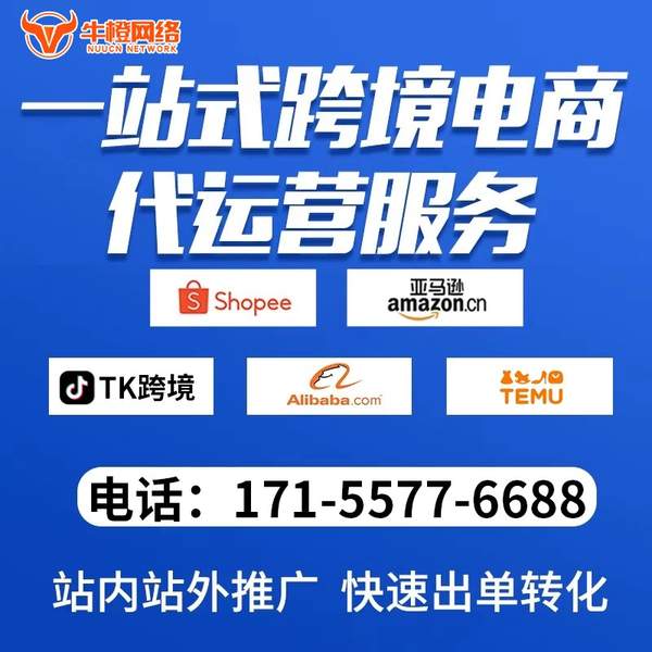 庄河电商代运营