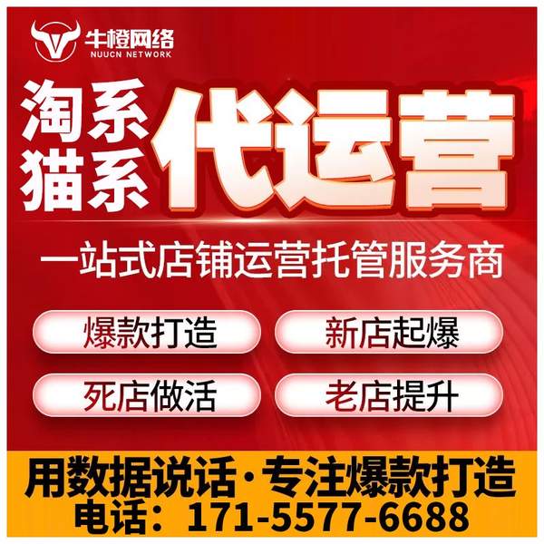庄河电商代运营